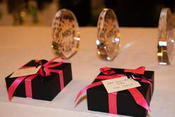 Excellence-awards-2024-_DSC4509